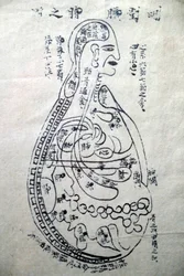 Museum of Traditional Vietnamese Medicine, The channels and vessels, Livro de acupunctura, Cidade de Ho Chi Minh, Vietname