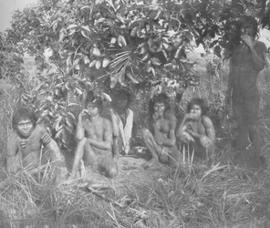 Índios Nambikwara do Estado de Matto Grosso, pacificados pelo coronel Rondon, mas ainda não totalmente