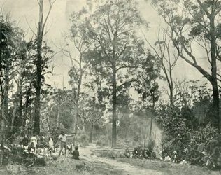 Esportes nativos, lago Tyers, 1901.