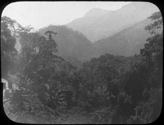 Perto de Petrópolis, Rio de Janeiro, Brasil, final do século XIX ou início do século XX