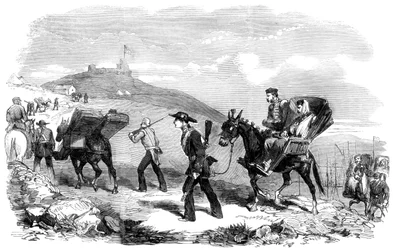Novo Serviço de Transporte de Ambulâncias, 1855