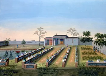 Jardim de viveiro, China, c1820-1840