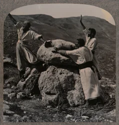 Oferecendo sacrifício de cordeiro no Altar, Moreh, c1900