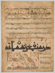 Sobre os Benefícios das Codornas, verso de um Manafi al-Hayawan ..., c. 1300