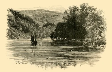 No dardo em Waynfleet, 1898.