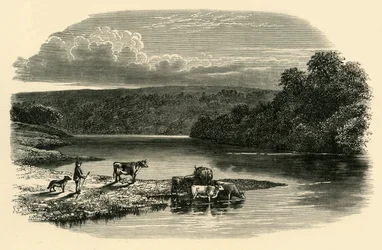 No Dee, c1890.