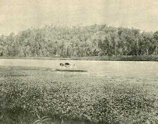 No lago Enoggera, 1901.