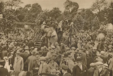 Um dos sinais de nossa civilização: jardins zoológicos bem abastecidos para encantar os curiosos, c193