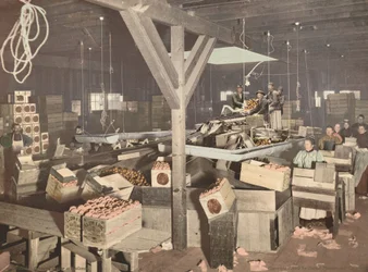 Orange Packing em Redlands, publicado em 1899.