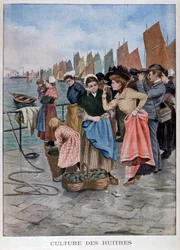 Vendedor de ostras, 1902