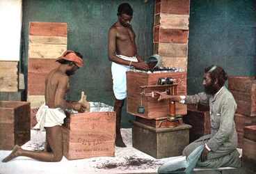 Embalagem e pesagem de chá para exportação em uma propriedade do Ceilão Sri Lanka, 1905