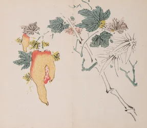 Página de Shi Zhu Zhai.