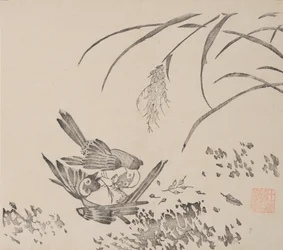 Página do Shi Zhu Zhai