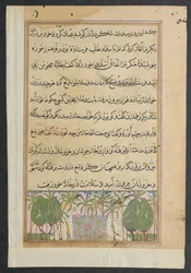 Página de Contos de um papagaio Tuti-nama: Oitava noite: Paisagem com uma piscina de lótus, c. 1560