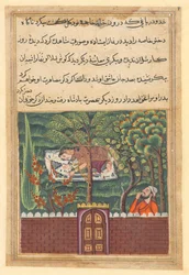 Página de Contos de um papagaio Tuti-nama: Quinquagésima primeira noite: Khulasa, um vizir, vê ..., c1560.