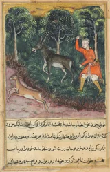 Página de Contos de um papagaio Tuti-nama: Quadragésima primeira noite: O jardineiro aproveita ..., c. 1560