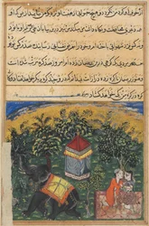 Página de Contos de um papagaio Tuti-nama: Quarta noite: A esposa dos mendigos engana ..., c. 1560