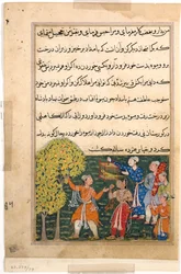 Página de Contos de um papagaio Tuti-nama: Nona noite: O rei colhe frutos da Árvore ..., c. 156