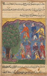 Página de Contos de um papagaio Tuti-nama: Sexta noite: Sete homens disputando posse ..., c. 1560