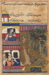 Página de Contos de um papagaio Tuti-nama: Trigésima nona noite: A rainha de Rum ..., c. 1560