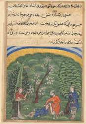Página de Contos de um papagaio Tuti-nama: segunda noite: O sentinela em serviço, c1560.