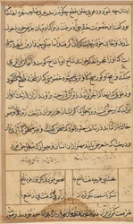 Página de Tales of a Parrot Nome: página de texto, c. 1560.