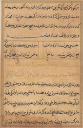 Página de Contos de um Papagaio Tuti-nama: página de texto, c. 1560.