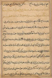 Página de Contos de um Papagaio Tuti-nama: página de texto, c. 1560.