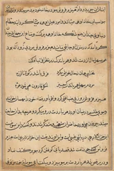 Página de Contos de um Papagaio Tuti-nama: página de texto, c. 1560.
