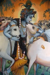 Pintura retratando o deus hindu Krishna abraçando vacas. Índia