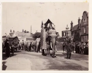 Desfile de elefantes, c 1905