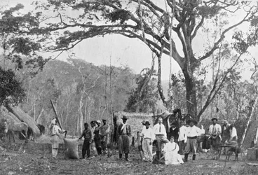 Encontro de chá paraguaio, Paraguai, 1911