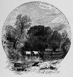 Paz e abundância, 1883