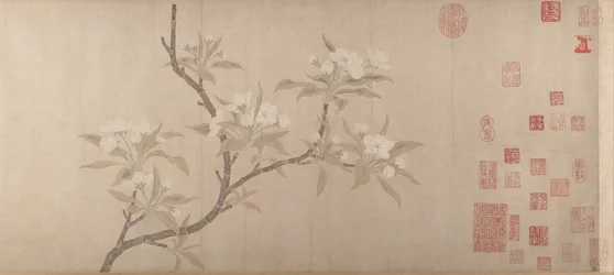Flores de pêra, ca. 1280