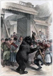 Realizando urso em uma vila russa, 1877