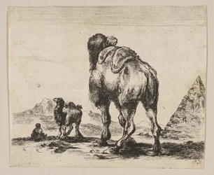 Ilustração 18: camelo visto de trás com pirâmide à direita, de Vários animais Di ..., depois de 1641.