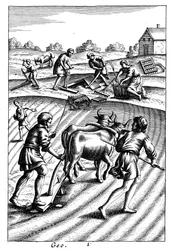 Aração com bois, semeadura e transmissão, século XVIII