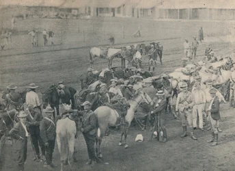 Cavalo de Plumers, c1900.