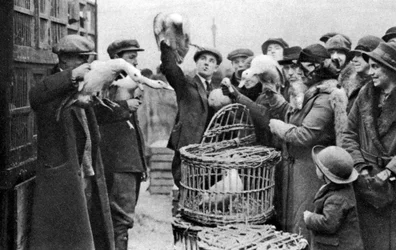Comerciantes de aves de capoeira, Caledonian Market, Londres, 1926-1927