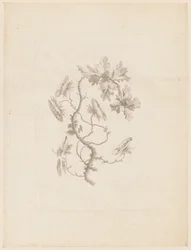 Imprimir (França)