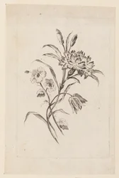 Imprimir (França)
