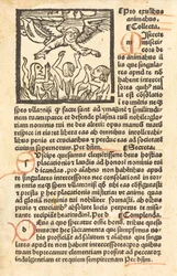 Purgatório, c. 1500.