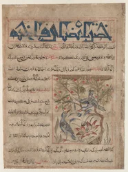 Qualidades de Ringdoves reto, Sobre os benefícios de codornas verso ..., c. 1300