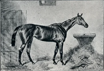 Rainha Bertha, século XIX, 1911
