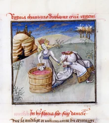 Rainha Tomyris. De: Speculum Humanae Salvationis Espelho da salvação humana por Ludolph da Saxônia