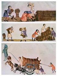 Colher, carregar e transportar, c1300-1340, c1900-1920