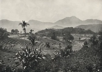 Campo de viagem em Terrasen ancorado, 1926