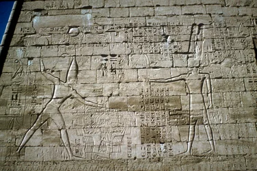 Alívio de Ramsés III ferir inimigos, Templo Mortuário de Ramsés III, Medinet Habu, c1200BC
