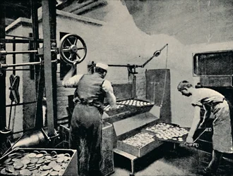 Remoção de biscoitos do forno, c1917