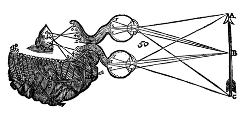 René Descartes, idéia da visão, mostrando a função do olho, nervo óptico e cérebro, 1692